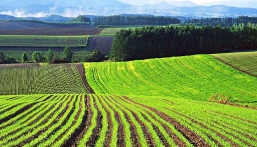 На розвиток стратегії євроінтеграції «відкрита наука» НААН долучилася до запровадження в Україні ринку земель сільськогосподарського призначення